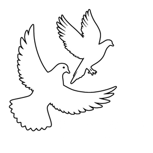Have 2 Dream Clothing